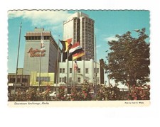 Downtown acreage Alaska vintage postcard unposted picture
