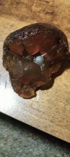 Very Unique One Of A Kind  Carnelian Agate Mammoth Effigy Stone picture