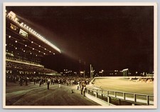 Postcard Roosevelt Raceway Westbury New York NY Night Harness Horse Racing picture