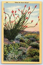 c1940's When The Desert Blooms Flowers Tucson Arizona AZ Vintage Postcard picture