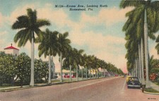 Homestead FL Florida, Krome Ave Street View, Palms, Old Cars, Vintage Postcard picture