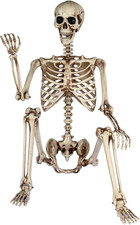 5.4Ft Life Size Skeleton,Poseable Halloween Giant Skeletons Decorations Outdoor, picture