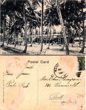 Santurce PR View in Borinquen Park, Palms (Black & White) Postcard 72288 picture