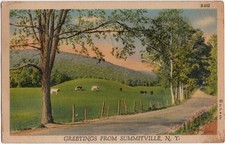 Vintage 1942 Greetings From Summitville NY Scenic Farm Road Postcard picture
