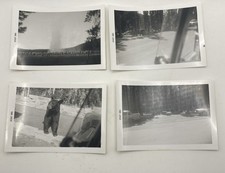 Vintage 1961 Yellowstone Photo Lot (13) Black Bear Jam Old Faithful Snapshot picture