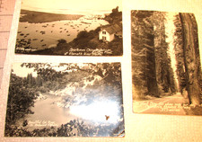 (3) RPPC Photo Postcard Salmon Fishing Klamath River & Redwood Hwy Ca California picture