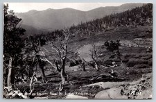 CO, Mt Evans Road, Park on Goliath Peak, Real Photo, RPPC, Vintage Postcard picture