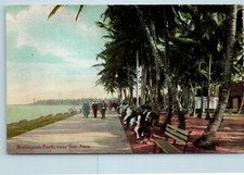 Postcard Puerto Rico San Juan Borinquen Park c1909 AE15 picture
