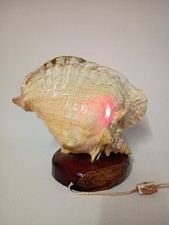 1950s  vtg seashell TV lamp souvenir beach hawaiian art sculpture picture