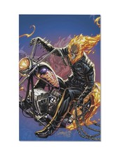 HELLVERINE (Akihiro) Ghost RIder Wolverine Marvel 11 x 17 Poster Wall Art Print picture