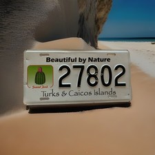 Turks and Caicos License Plate - Beautiful by Nature - New Design Cactus ￼ picture