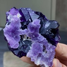 198G Rare transparent purple cubic fluorite mineral crystal sample/China picture