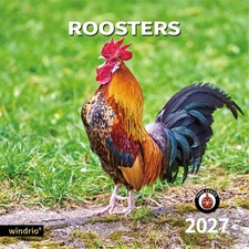 windrio 2026-2027 Wall Calendar Roosters picture