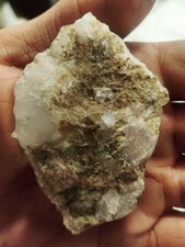 just a rock you can pretend it's a seed ok? But it's really just a rock from Col picture