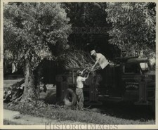 1962 Press Photo Parkway & Parks Commission removing small branches from street. picture