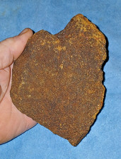 Pre Historic Native American Petrified Stone Axe Head Celt. Randolph County Nc picture