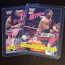 WWF 1994 Bret 