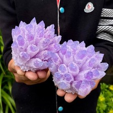 1.55LB New find violet phantom crystal quartz  cluster mineral specimen healing picture