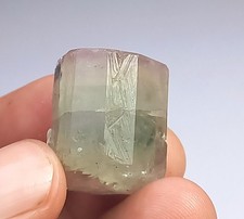 WoW Stunning Rare Bi Color Fluorescent Apatite :17g picture