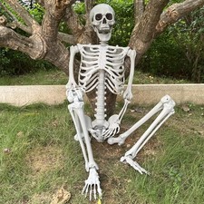 5.4ft Halloween Skeleton Full Body Life Size Skeleton Bones with Movable Joints picture