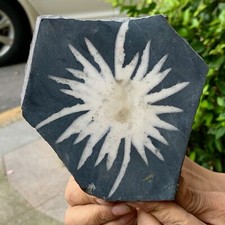488G Natural Chrysanthemum Stone Quartz Carving Halo Treatment Gift picture
