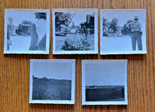 1950's Lot of 5 Presumed Plane Crash Photographs Somewhere in IA Research Needed picture