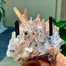 199G Natural Green tourmaline with quartz crystal cluster mineral specimen D387 picture
