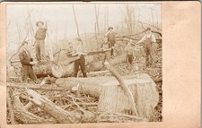 Postcard Real Photo RPPC Men with Saws Cutting Trees picture