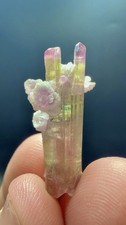 15.60 Carats An Outstanding Beautiful Bi Colour  Terminated Tourmaline Crystal picture