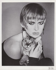 1987 Press Photo Supermodel Holding Cat While Displaying Hairstyle by John Sahan picture