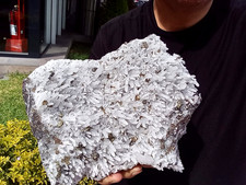 HUGE 8-LBS CHALCOPYRITE QUARTZ PYRITE CRYSTAL QUARTZ picture