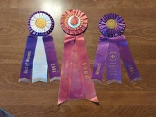Vintage beautiful AKC Kennel Club Dog Show Ribbons picture