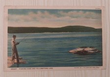 Vintage Postcard Yellowstone Lake Fishing Cone West Thumb Geyser  Basin  Wyoming picture