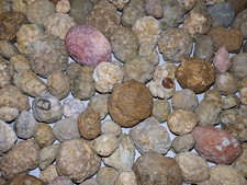 2 LB Lot  Unopened Geodes/Agates/Nodules Semi Solid - Solid Lapidary (Qty: 8-12) picture