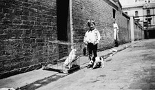 West Melbourne, Victoria, 1935 A small boy with a cockatoo (named Geo Old Photo picture