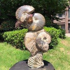 19.16LB Large Natural Beautiful Ammonite Fossil Conch Crystal Specimen Healing picture
