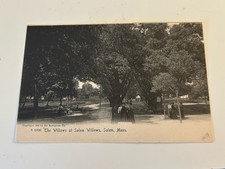 The Willows at Salem Willows Salem Massachusetts MA Postcard picture