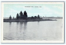 c1930's Cranberry Bog, Chetek Wisconsin WI Vintage Unposted Postcard picture