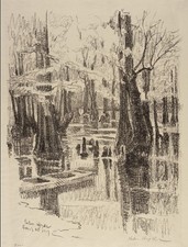 Helen Hyde Cypress Swamp Vintage 1910s Art Photo Reprint Wall Art picture