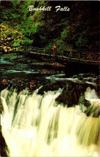 Crest of Bushkill Falls Bushkill PA 1966 Vintage Postcard 5P21-6 picture