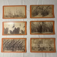 VTG 1870s Lot Of 6 Savannah Georgia Nature Stereoviews Spanish Moss J.N. Wilson picture