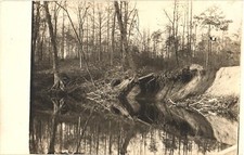 Takoma Park MD Sligo Creek Eroded Bank RPPC Real Photo Postcard 1909 Unused picture