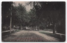 Litchfield Illinois Union Ave Tree Lined Street 1910 Postcard Art Mfg Co picture