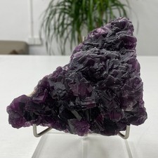 1.75LB Rare transparent purple cubic fluorite mineral crystal sample/Chin picture