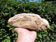 5.6LB TRAVERTINE ONYX AGATE Rough ROCK w/ AMAZING PATTERNS & Botryoidal CAVES picture