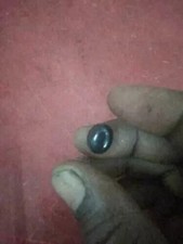 King Cobra pearl | Cobra Stone Nagamani | King Cobra Snake pearl |Nagamani Stone picture