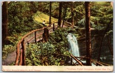 c1907 Caldeno Falls Delaware Water Gap Pennsylvania ANTIQUE Postcard 3279 picture