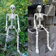 Halloween Skeleton Poseable Human Skeleton Prop Decoration Haunted House 40cm picture