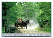 Postcard Traditional Carriage Ride near Jordan Pond, Acadia Maine K10 picture