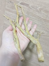 Coral 2 Branch Genuine Rare Golden 120 gr Natural Specimen for jewelry 28, 22cm picture